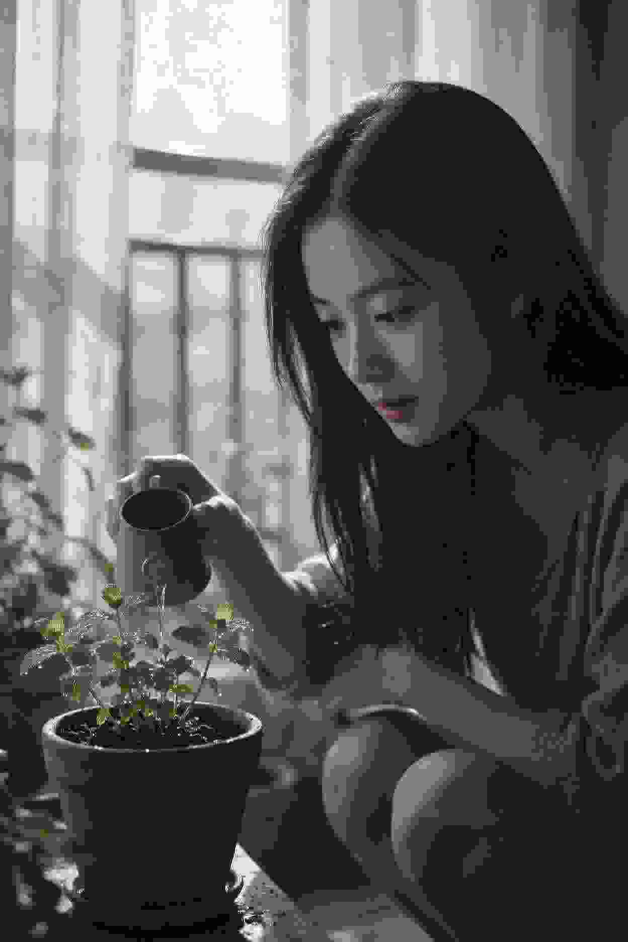 影视作品